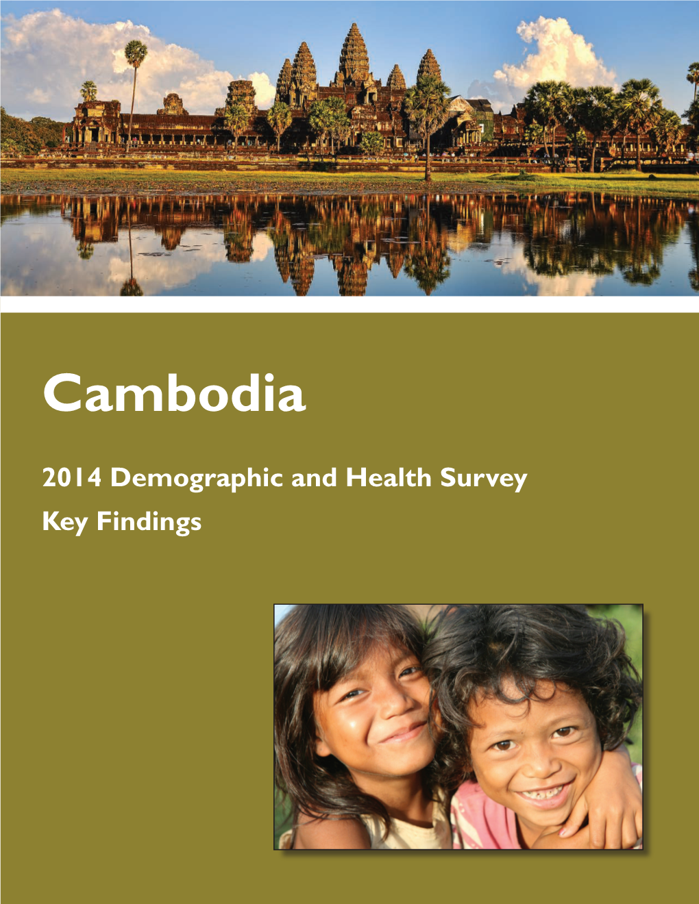 Cambodia 2014 Demographic and Health Survey