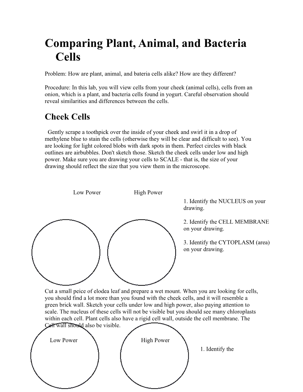 Comparing Plant and Animal Cells s1