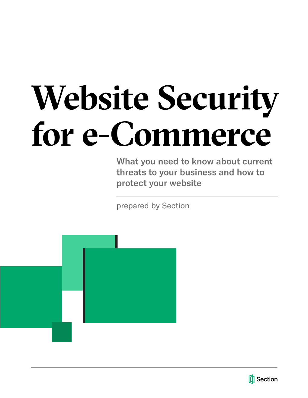 Security Website Security for E-Commerce Learn More