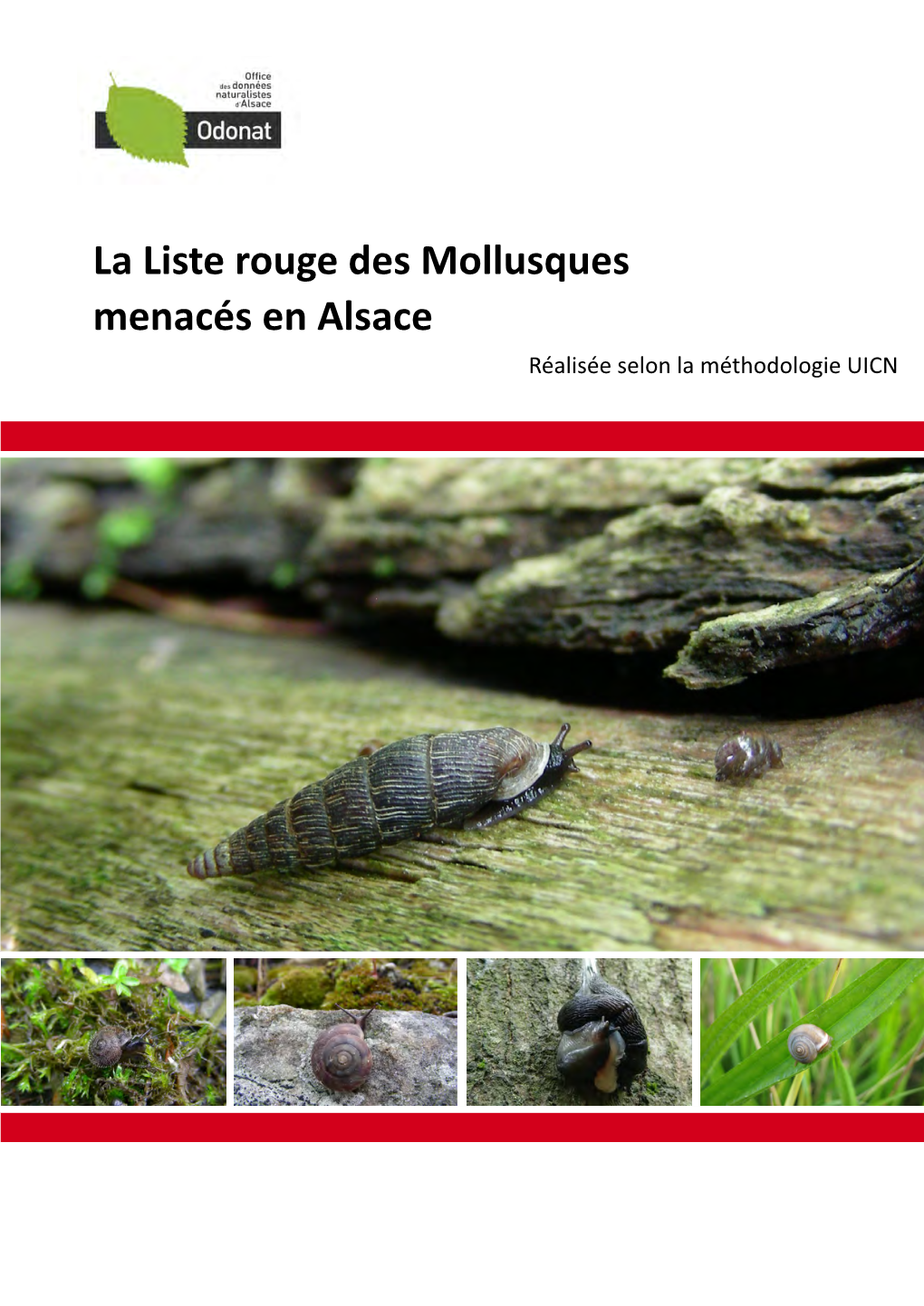 La Liste Rouge Des Mollusques Menacés En Alsace