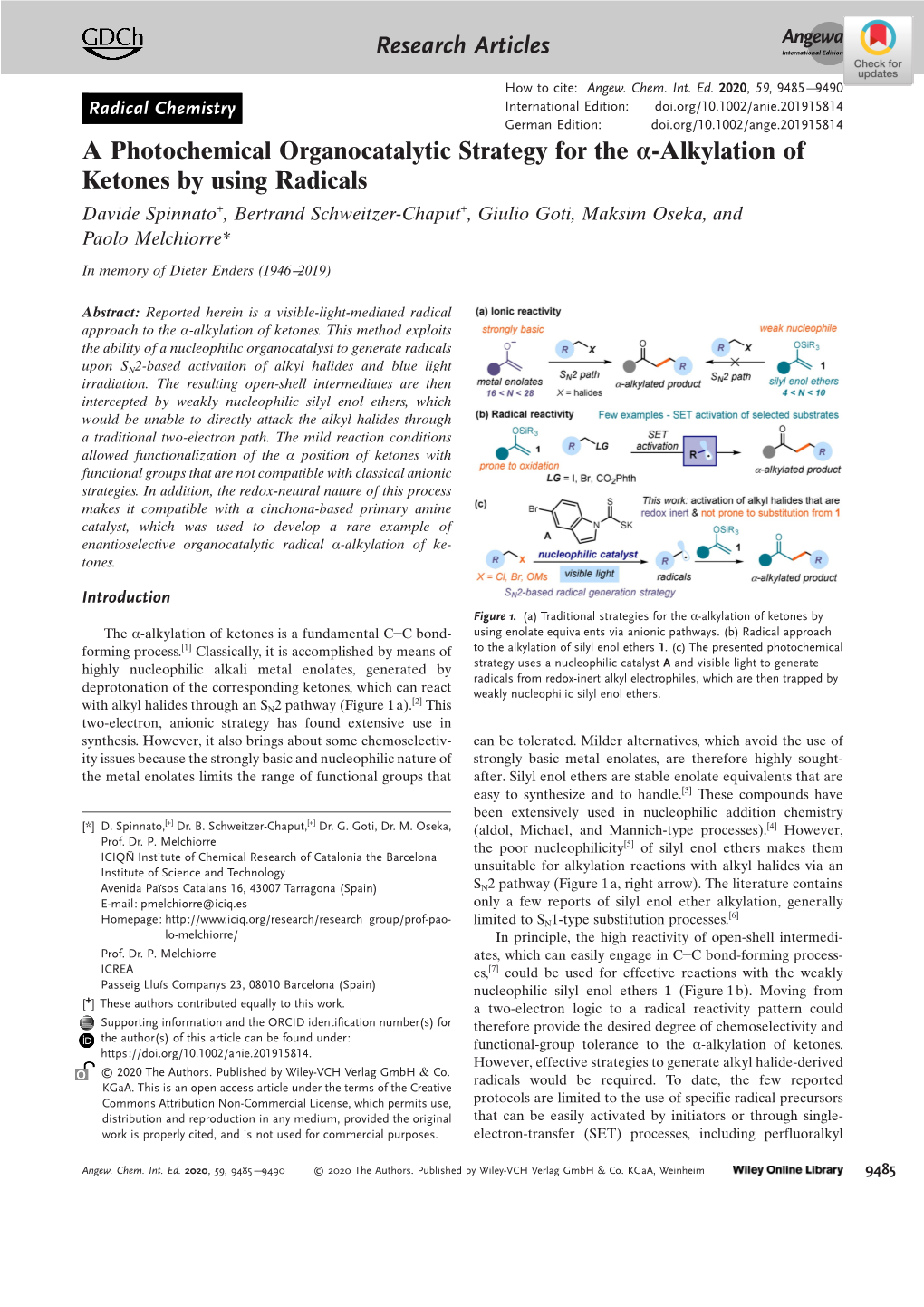 A Photochemical Organocatalytic Strategy for the Α‐Alkylation Of