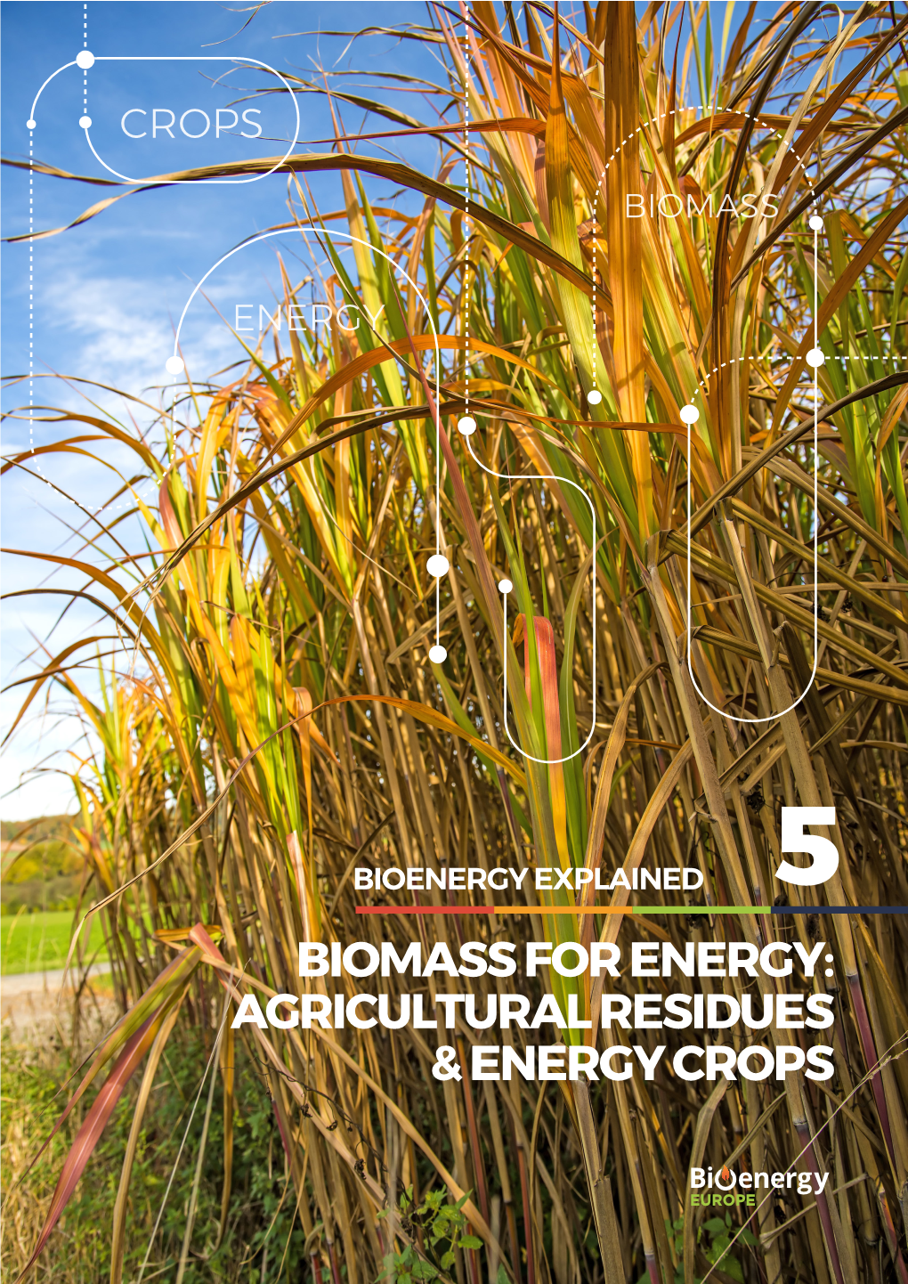 Agricultural Residues & Energy Crops