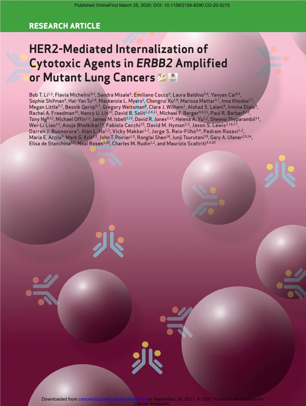 HER2-Mediated Internalization of Cytotoxic Agents in ERBB2 Amplified Or Mutant Lung Cancers