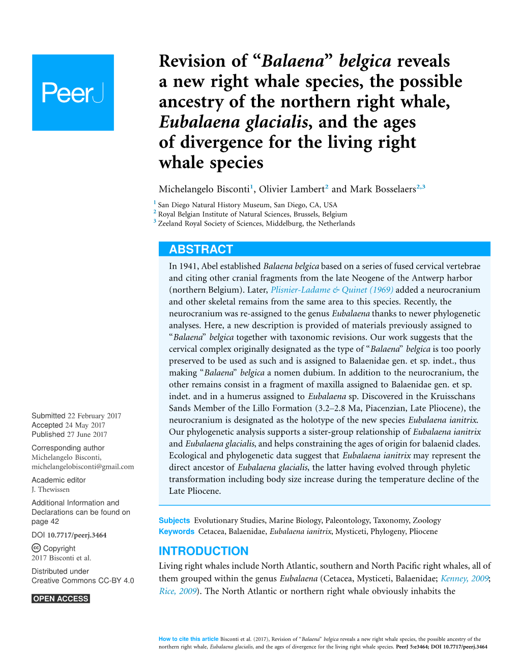 Belgica Reveals a New Right Whale Species, the Possible