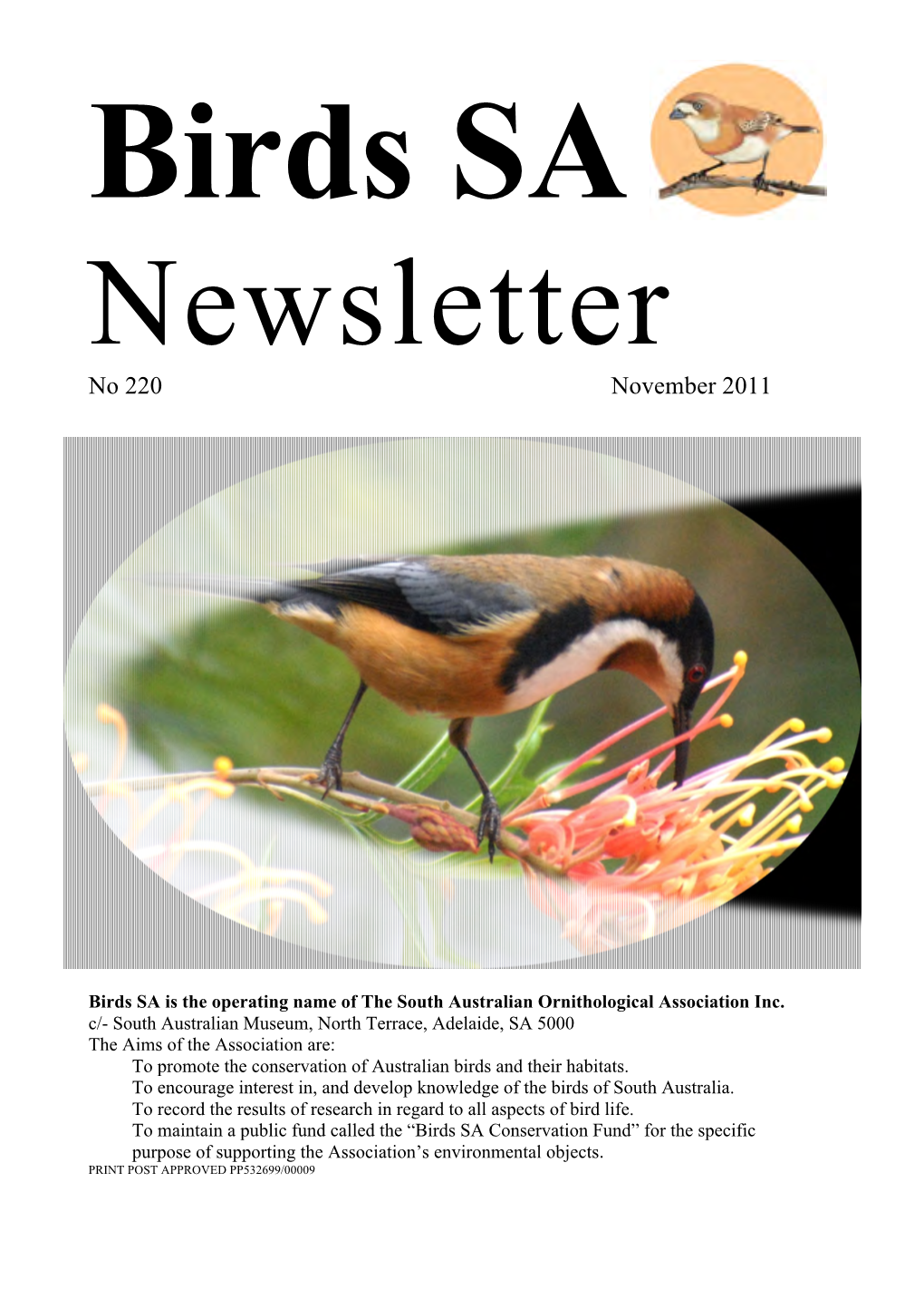 Birds SA Newsletter No. 220, November 2011