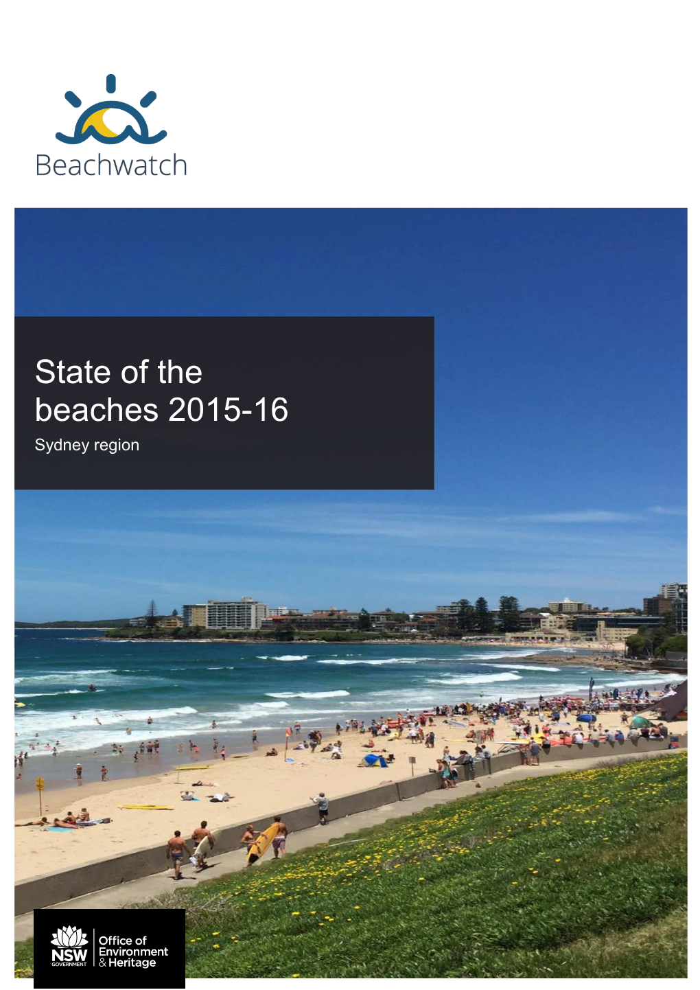 State of the Beaches Annual Report 2016