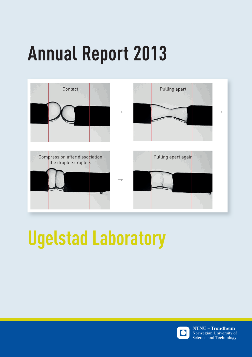 Annual Report 2013 Ugelstad Laboratory