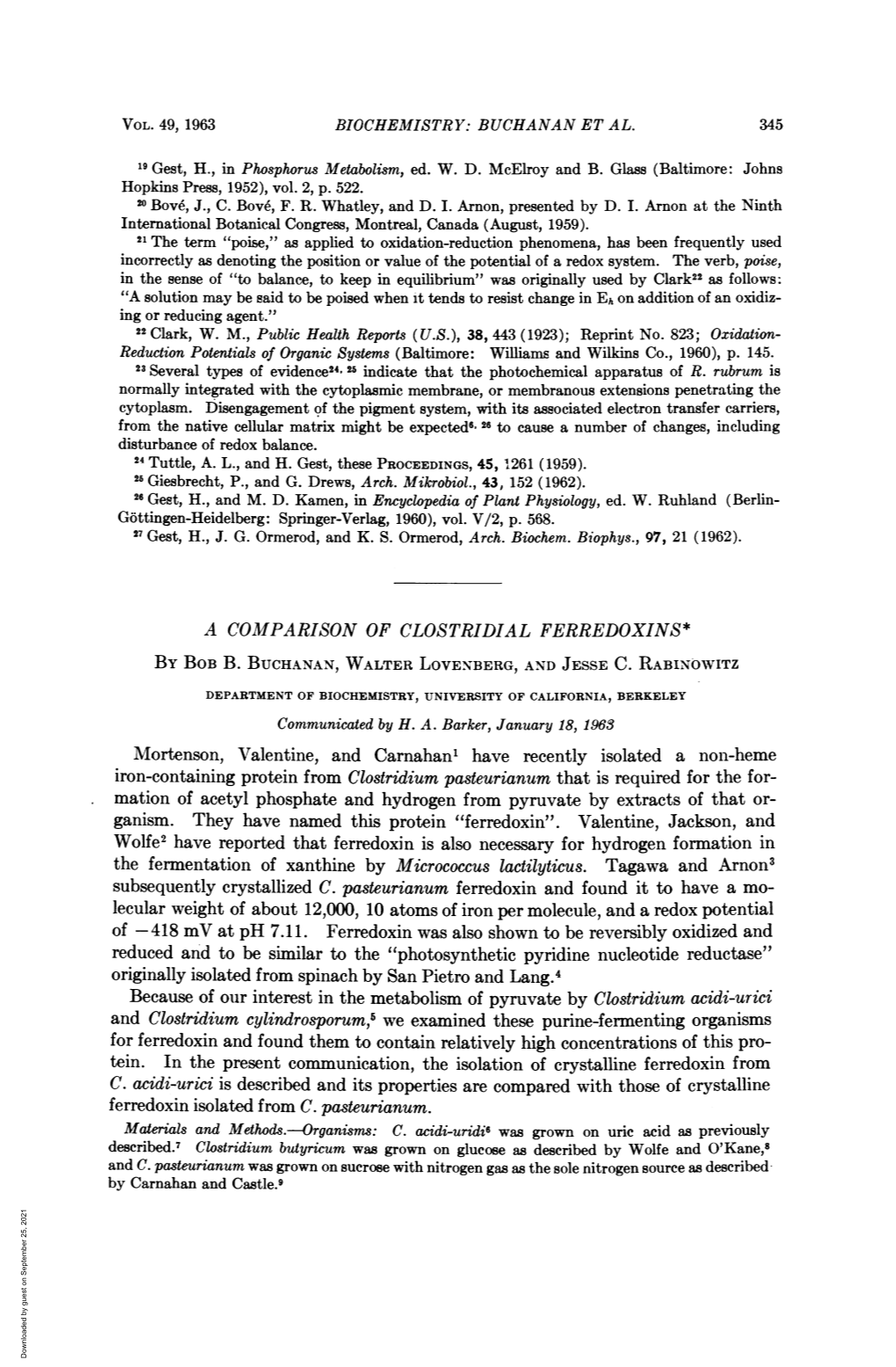 A COMPARISON of CLOSTRIDIAL FERREDOXINS* Mortenson