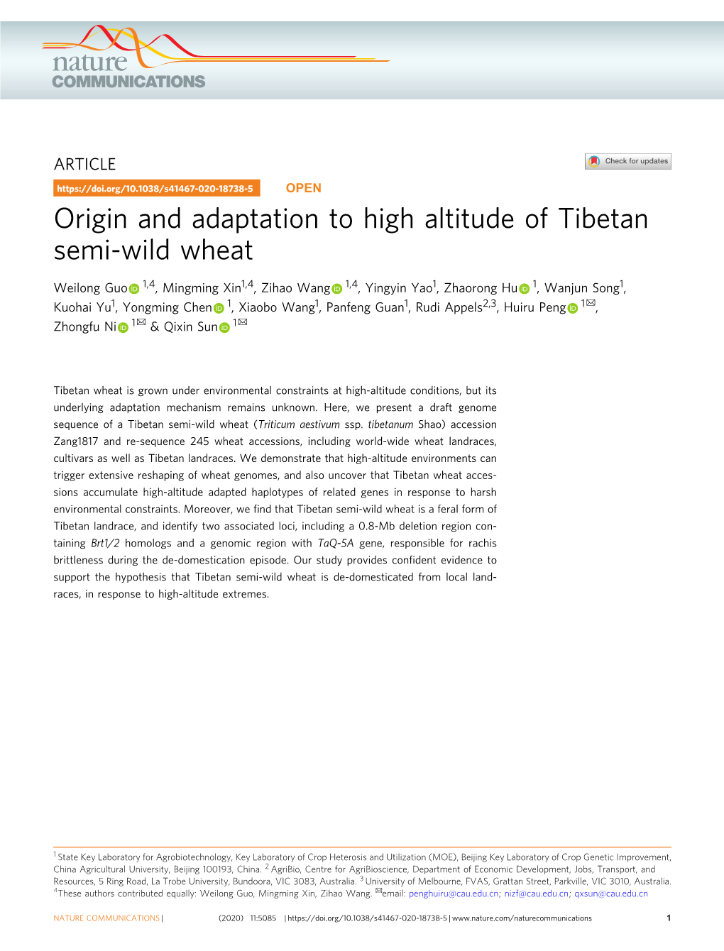 Origin and Adaptation to High Altitude of Tibetan Semi-Wild Wheat