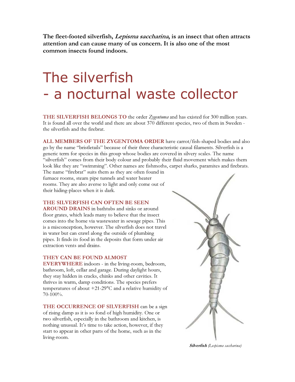 The Silverfish - a Nocturnal Waste Collector