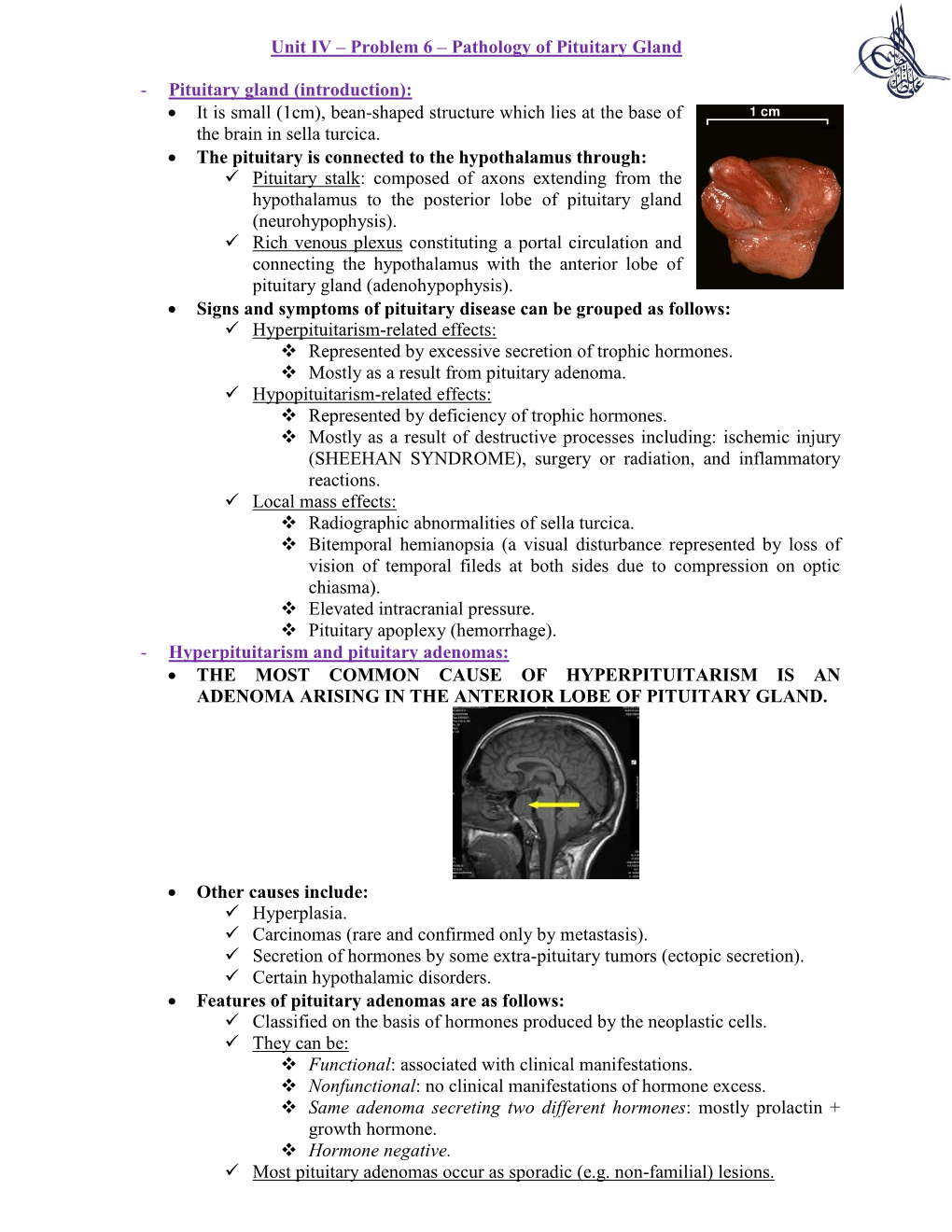 Pituitary Gland