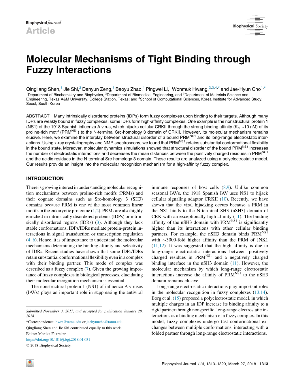 Molecular Mechanisms of Tight Binding Through Fuzzy Interactions