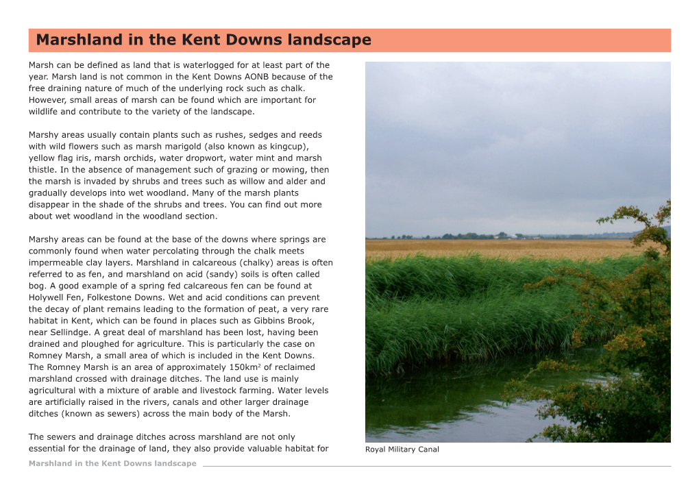 Marshland in the Kent Downs Landscape