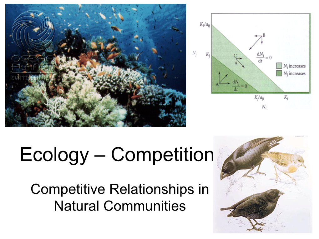 Ecology – Competition