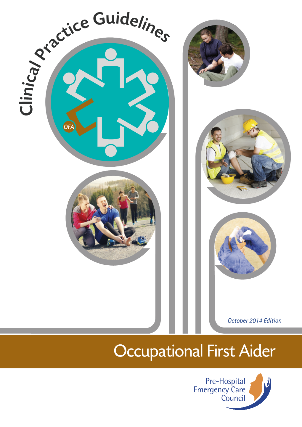 C Linical Practice Guidelines Occupational First Aider