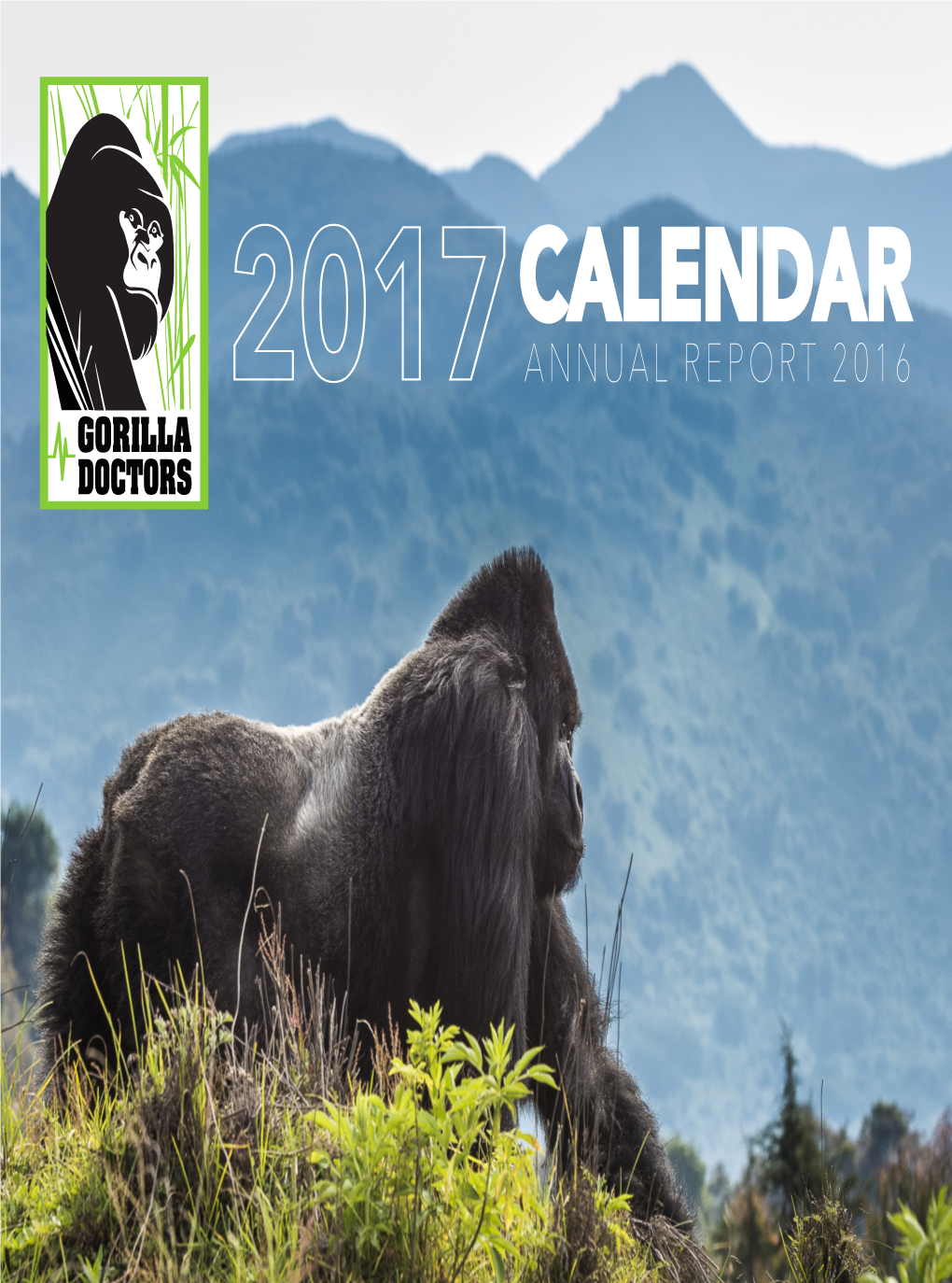 Calendarannual Report 2016