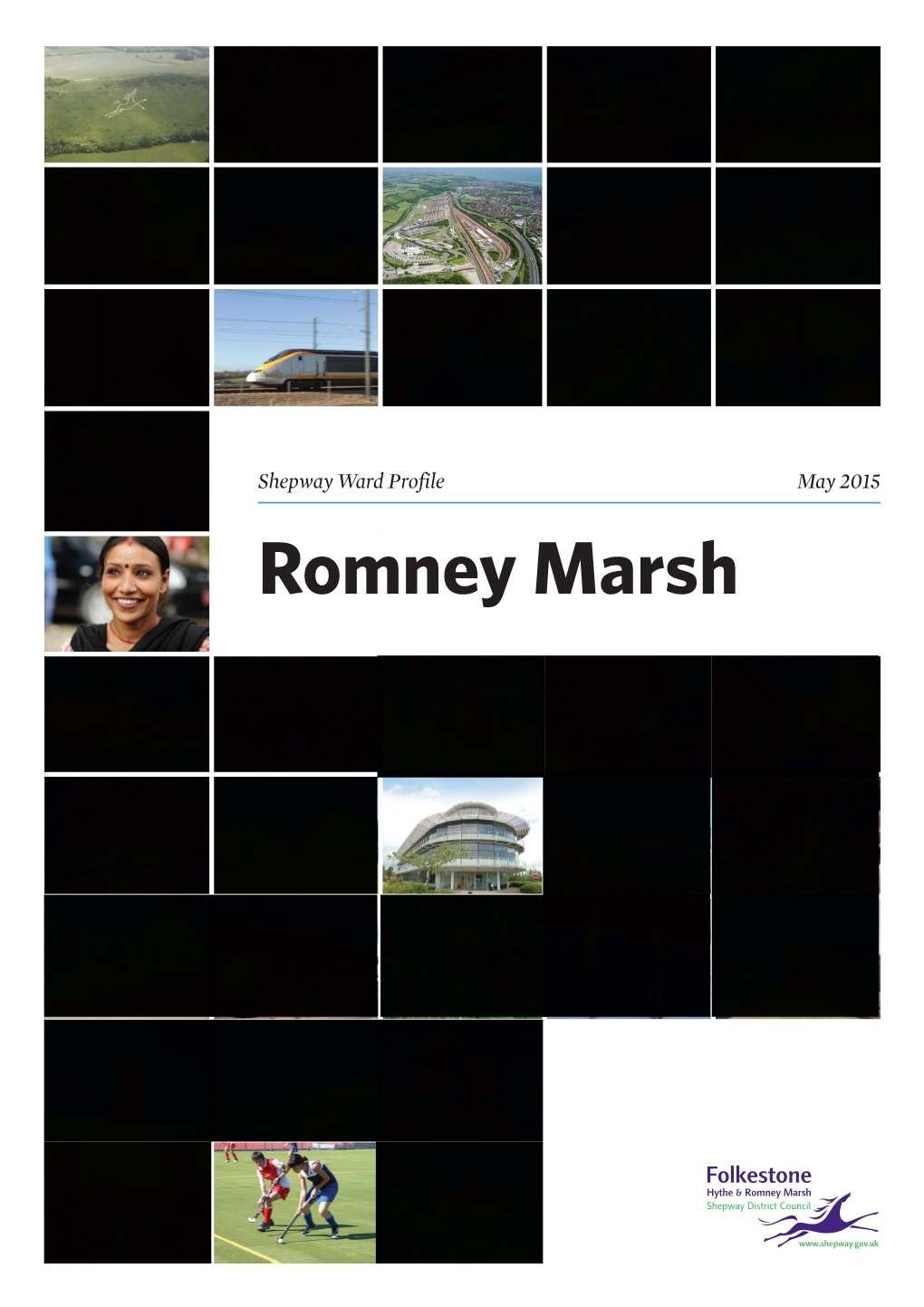Romney Marsh Ward Profile