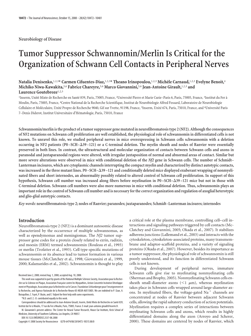 Tumor Suppressor Schwannomin/Merlin Is Critical for the Organization of Schwann Cell Contacts in Peripheral Nerves