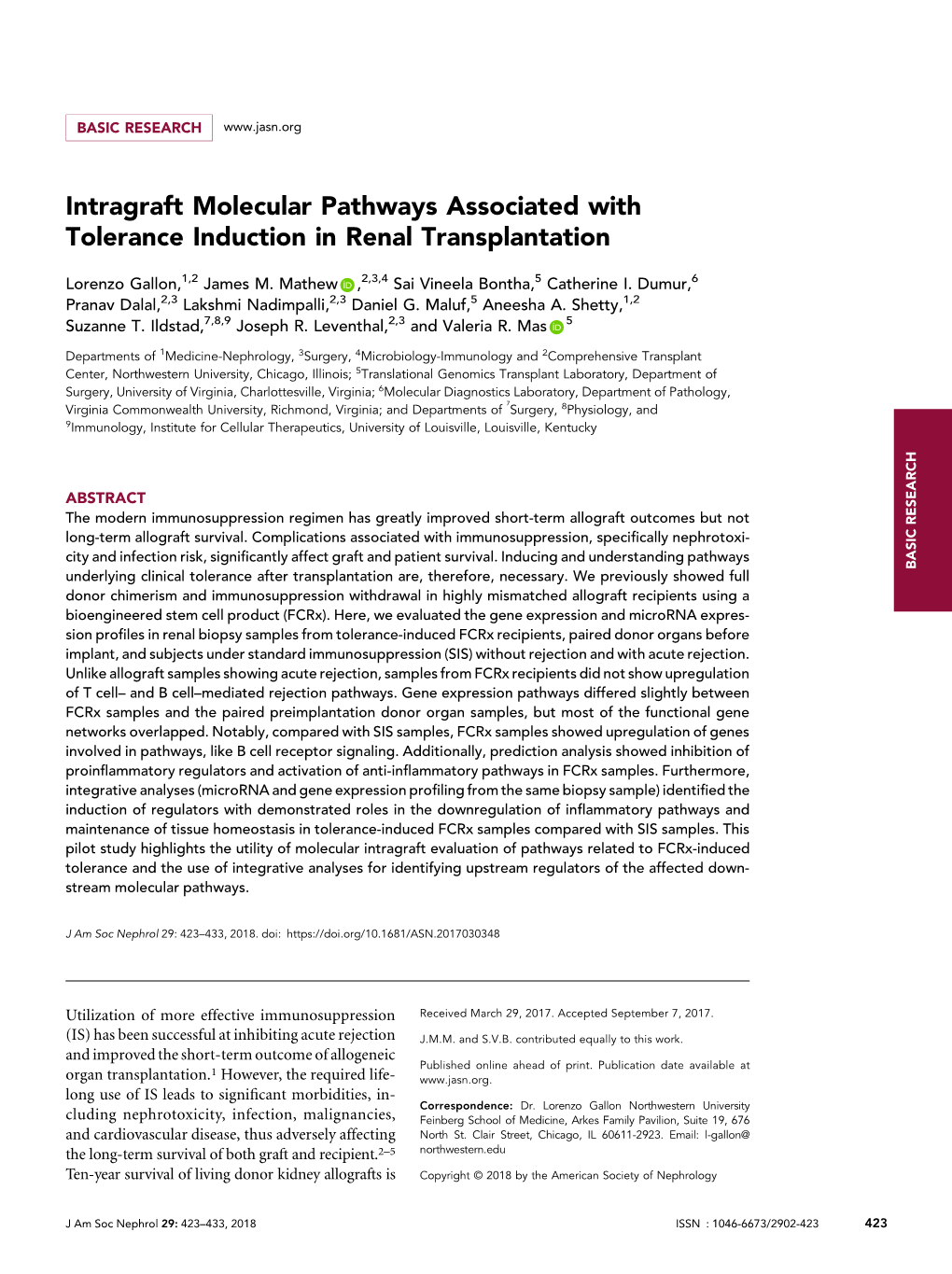 Intragraft Molecular Pathways Associated with Tolerance Induction in Renal Transplantation