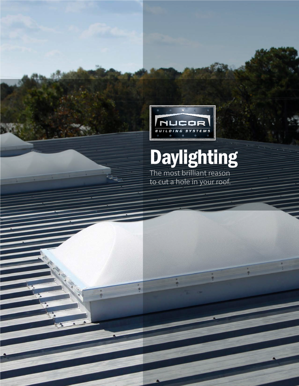 Skylights & Daylighting