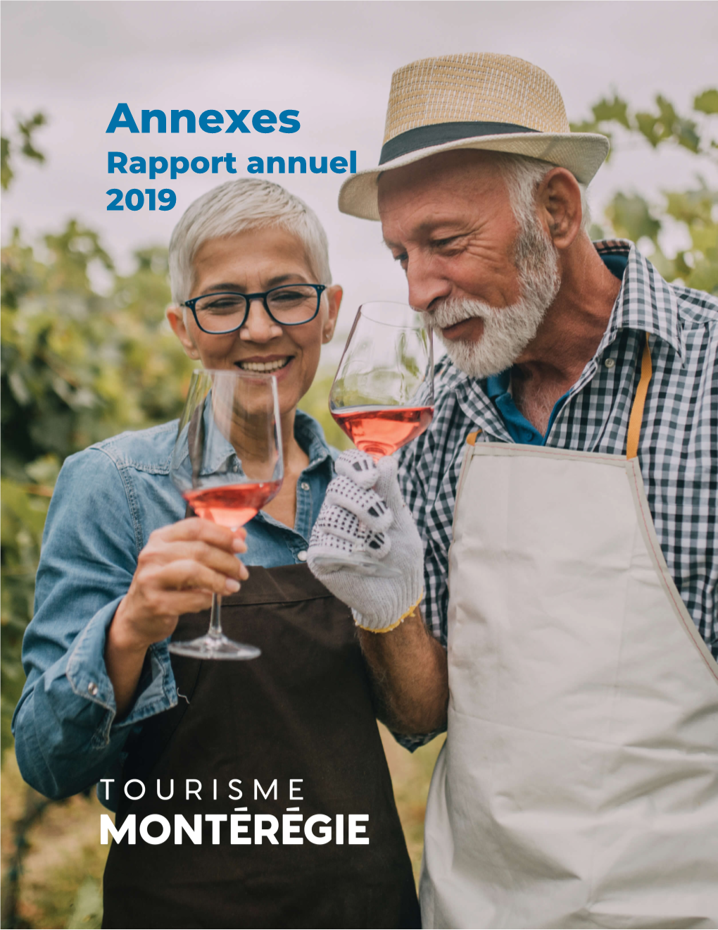 Annexes Rapport Annuel 2019