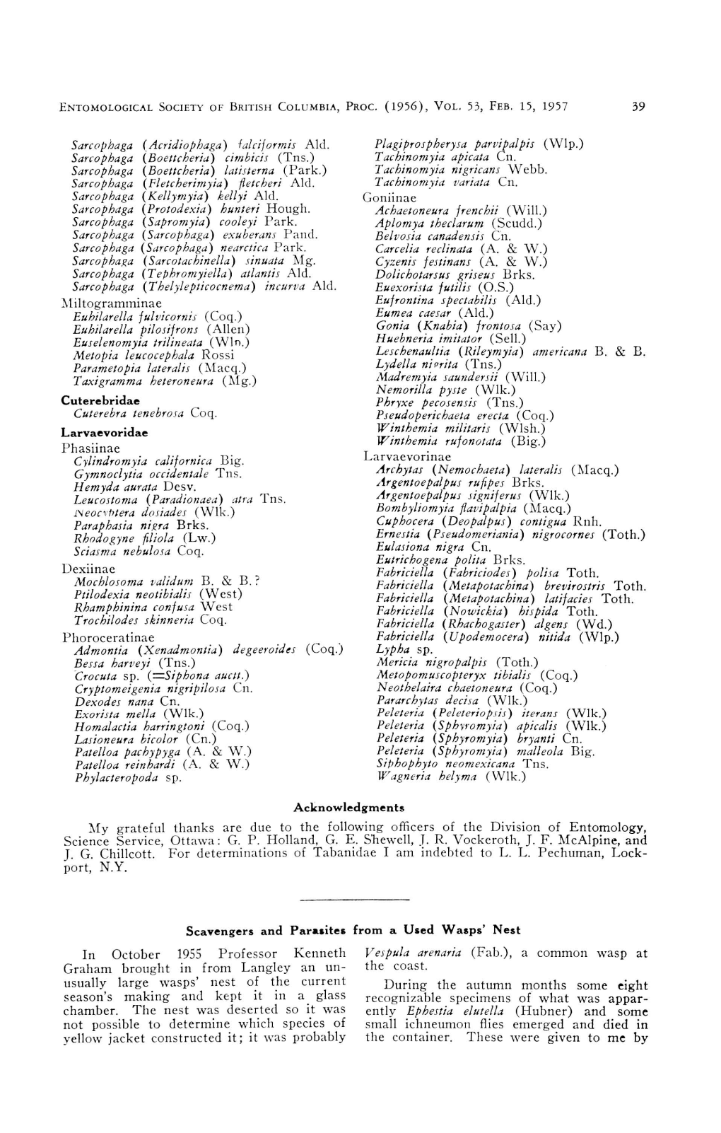 39 Phasiinae Dexiinae Phoroceratinae Goniinae