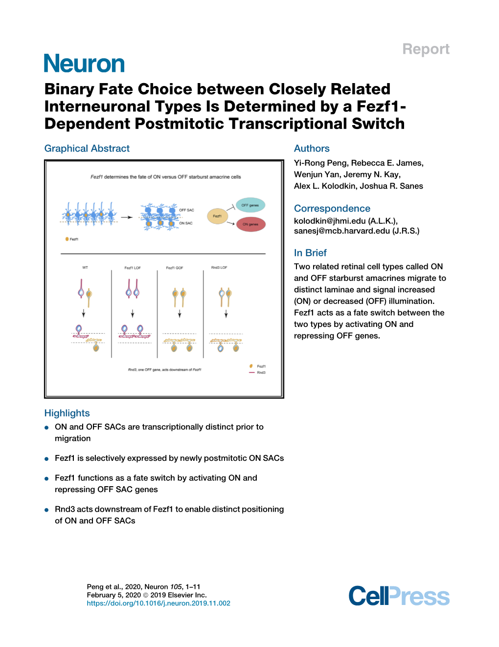 Binary Fate Choice Between Closely Related Interneuronal Types Is Determined by a Fezf1- Dependent Postmitotic Transcriptional Switch