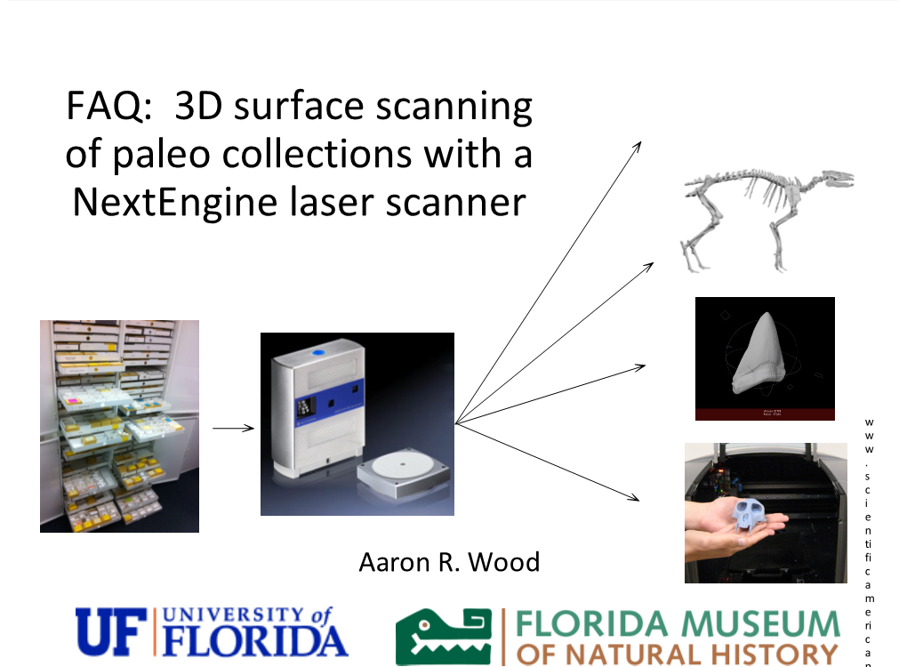 FAQ:&&3D&Surface&Scanning