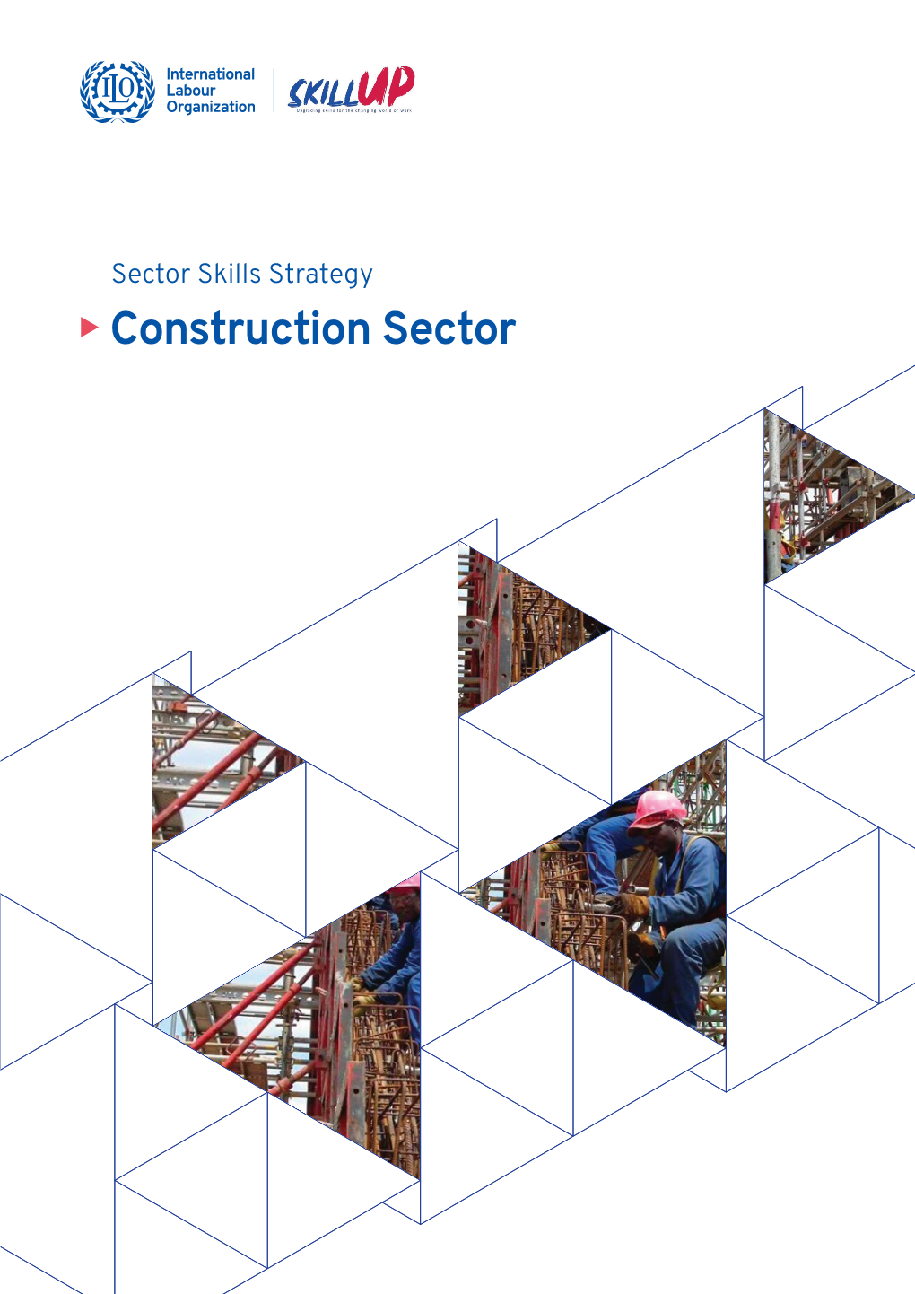 Construction Sector Sector Skills Strategy Construction Sector