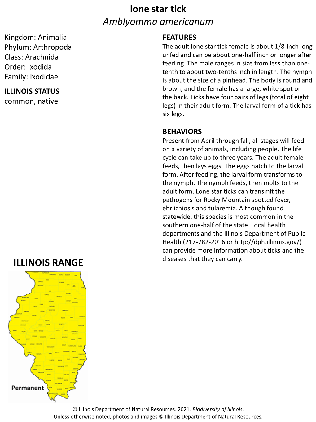 Lone Star Tick Amblyomma Americanum ILLINOIS RANGE