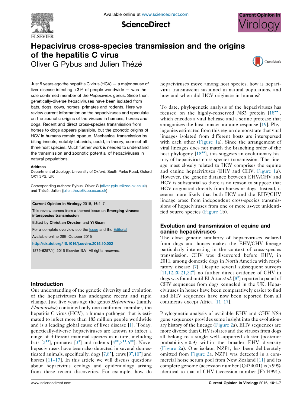 Hepacivirus Cross-Species Transmission and the Origins of The