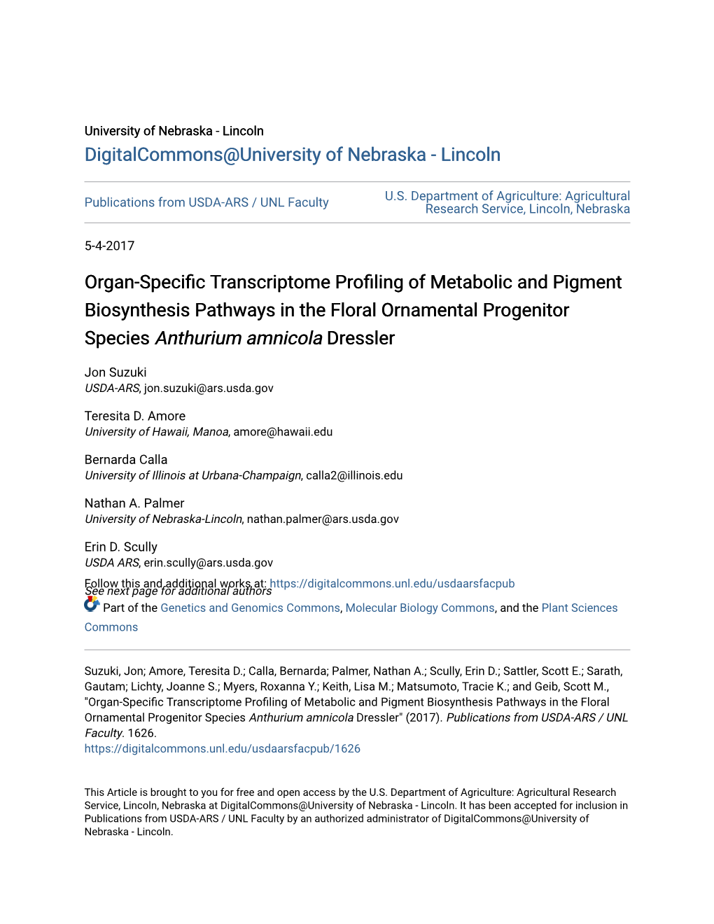 Organ-Specific Transcriptome Profiling of Metabolic and Pigment Biosynthesis Pathways in the Floral Ornamental Progenitor Specie