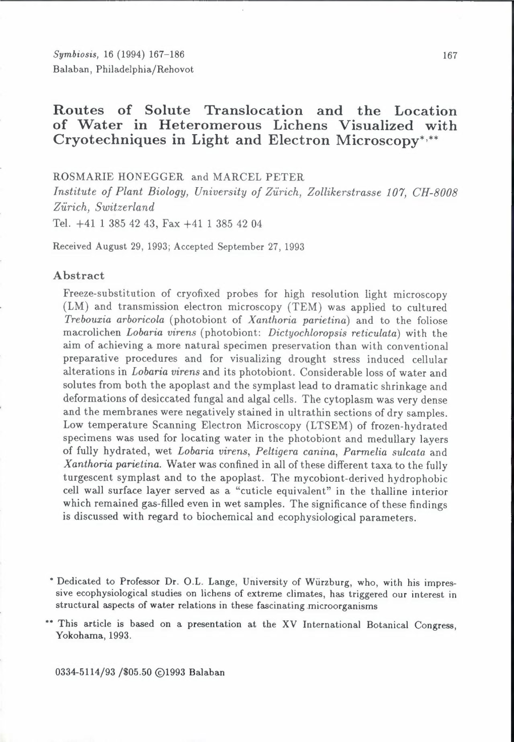 Routes of Solute Translocation and the Location of Water in Heteromerous Lichens Visualized with Cryotechniques in Light and Electron Microscopy*,**