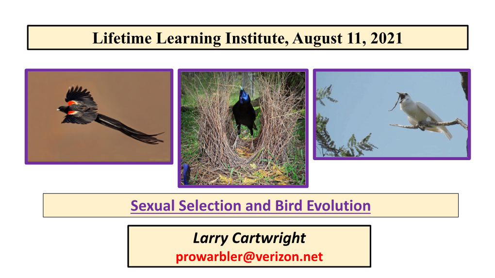 Lifetime Learning Institute, August 11, 2021 Sexual Selection and Bird