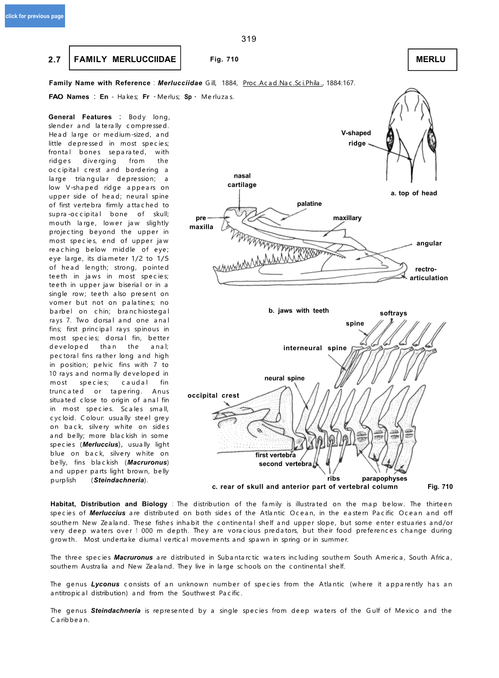 Genus Lyconus Consists of an Unknown Number of Species from the Atlantic (Where It Apparently Has an Antitropical Distribution) and from the Southwest Pacific