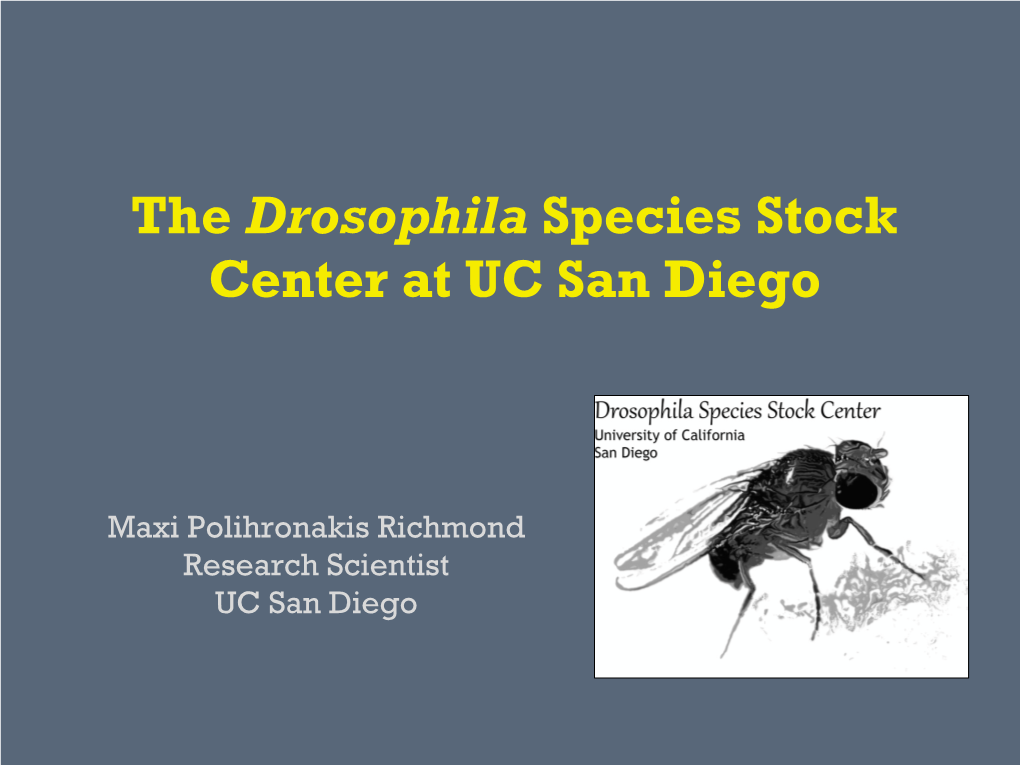 The Drosophila Species Stock Center at UC San Diego