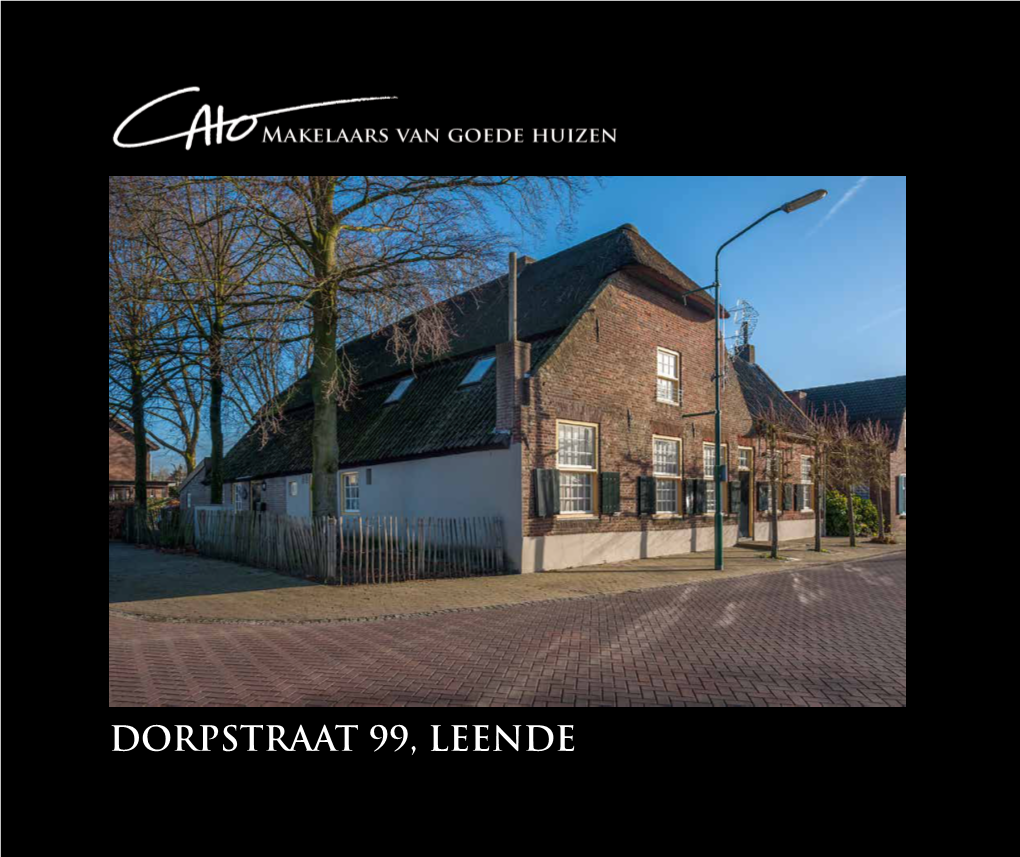 Dorpstraat 99, Leende