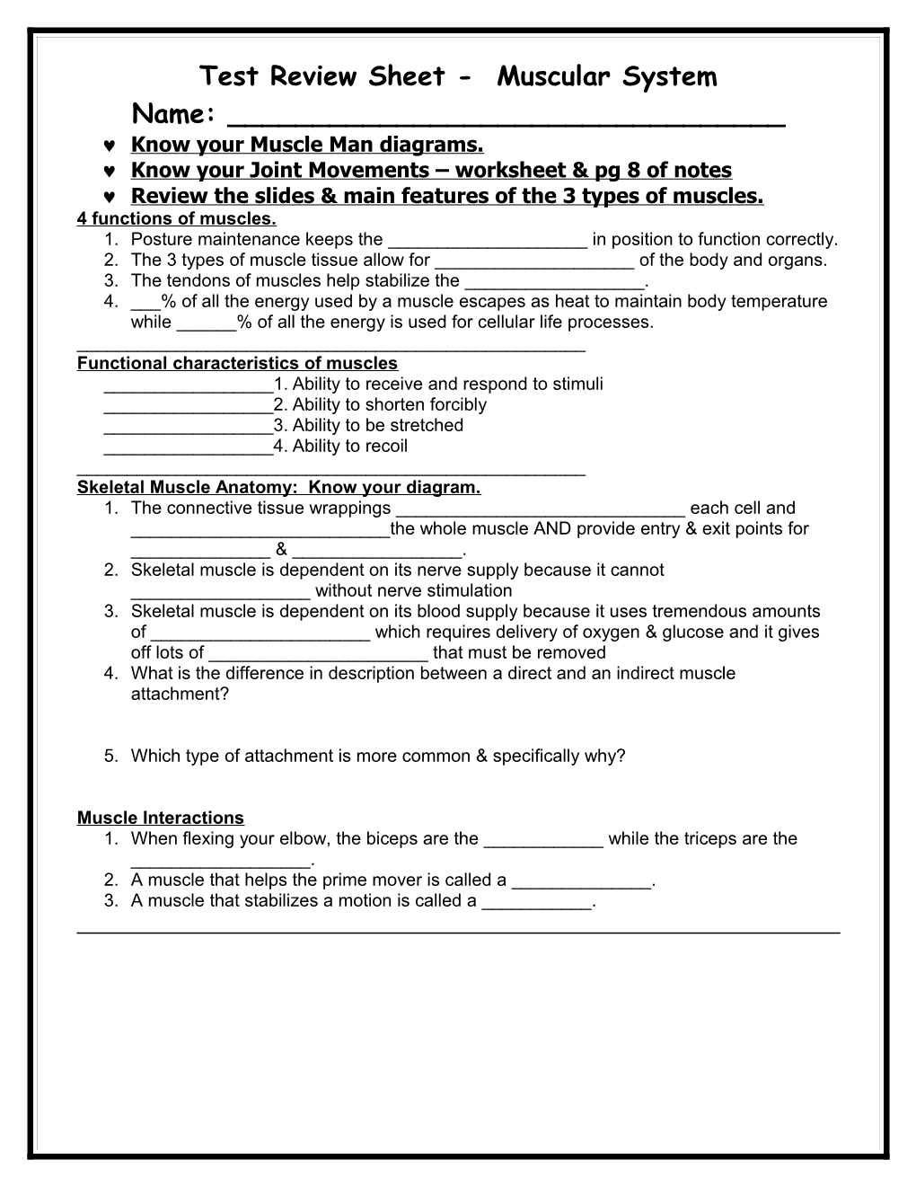 Worksheet the Muscular System