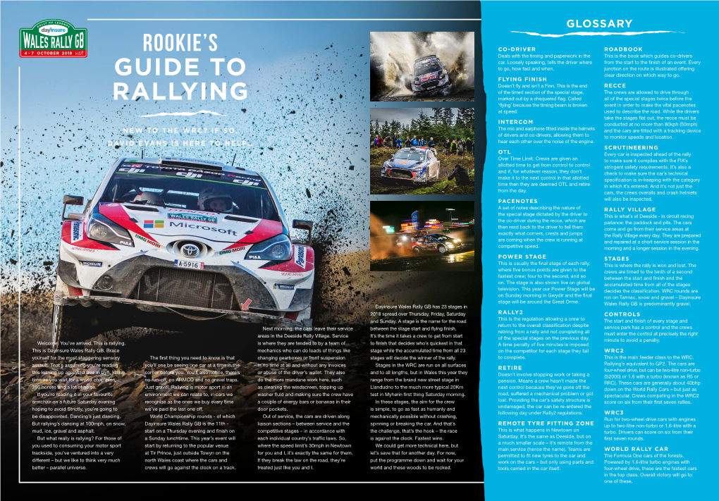 Rookie's Guide to Rallying