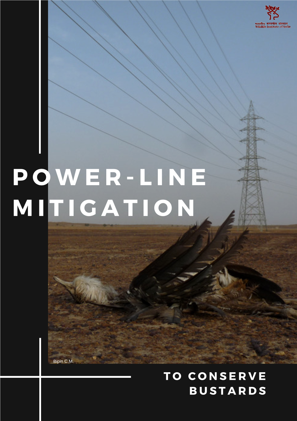 Power-Line Mitigation to Conserve Bustards