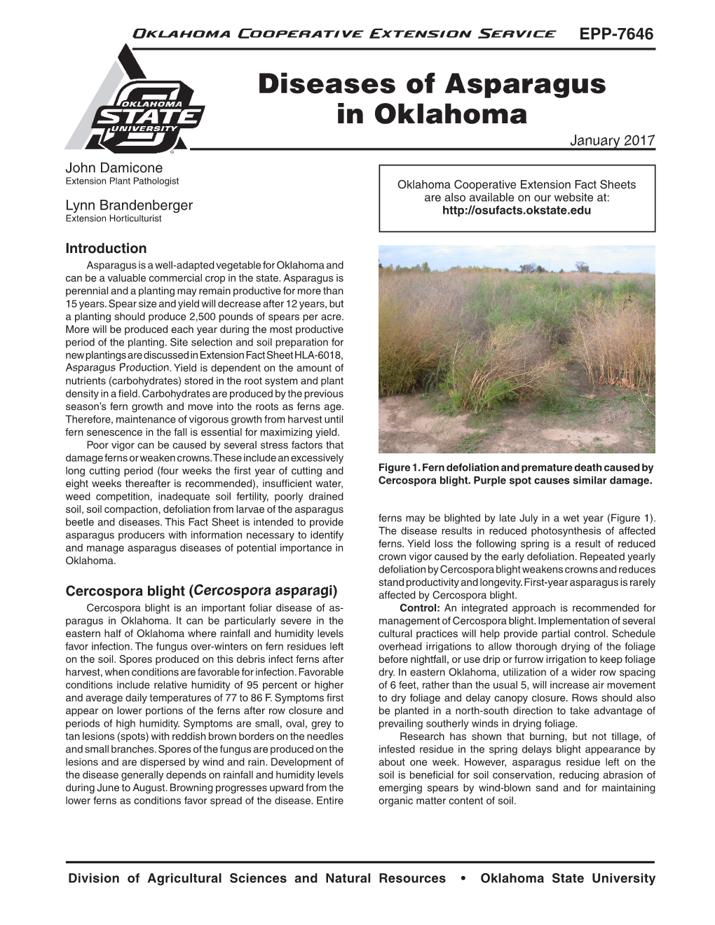 Diseases of Asparagus in Oklahoma