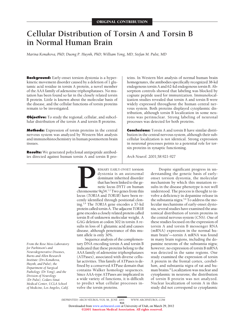 Cellular Distribution of Torsin a and Torsin B in Normal Human Brain