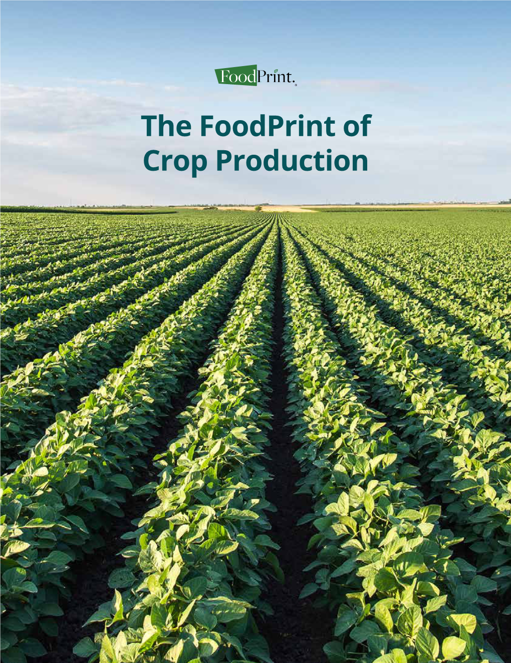 The Foodprint of Crop Production