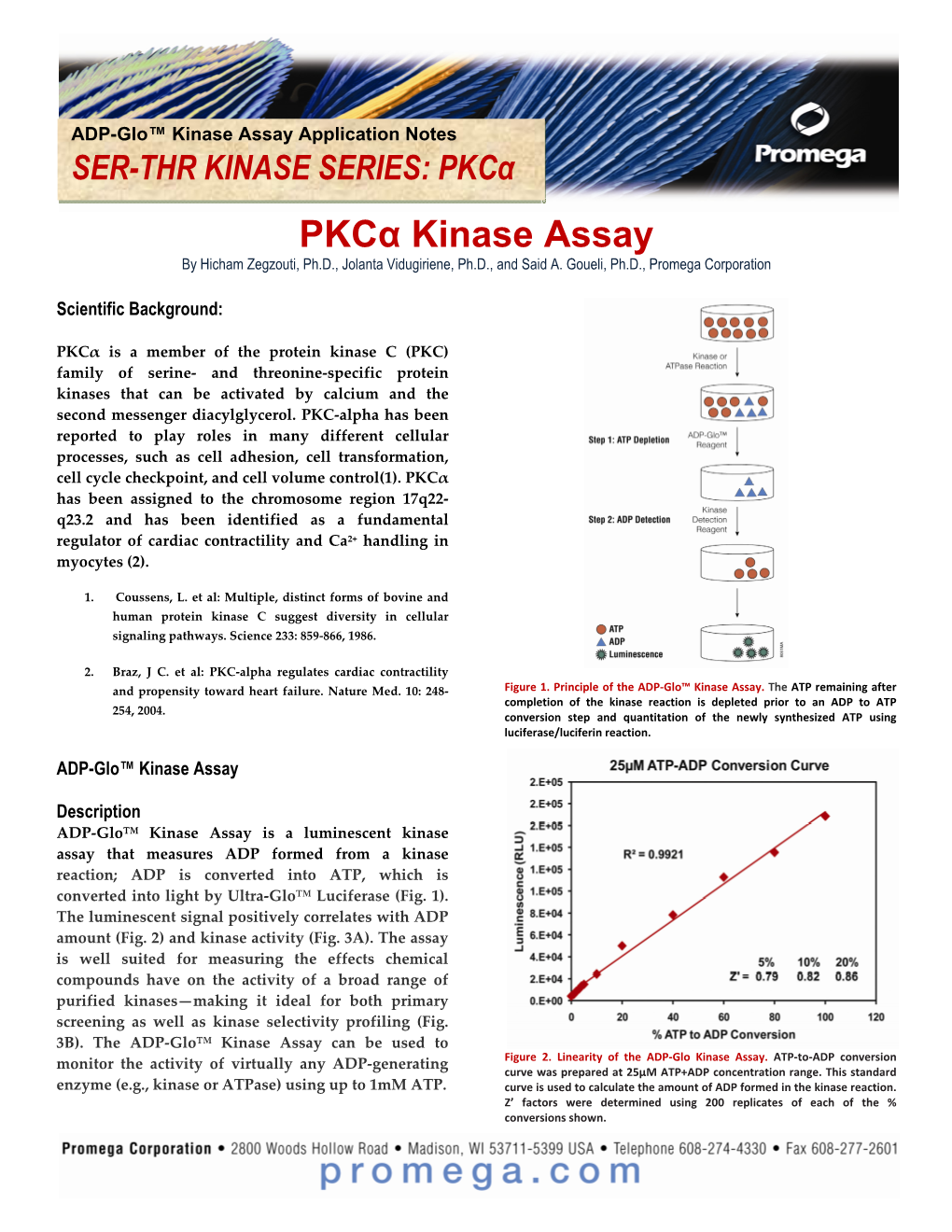 Pkcα Kinase Assay by Hicham Zegzouti, Ph.D., Jolanta Vidugiriene, Ph.D., and Said A