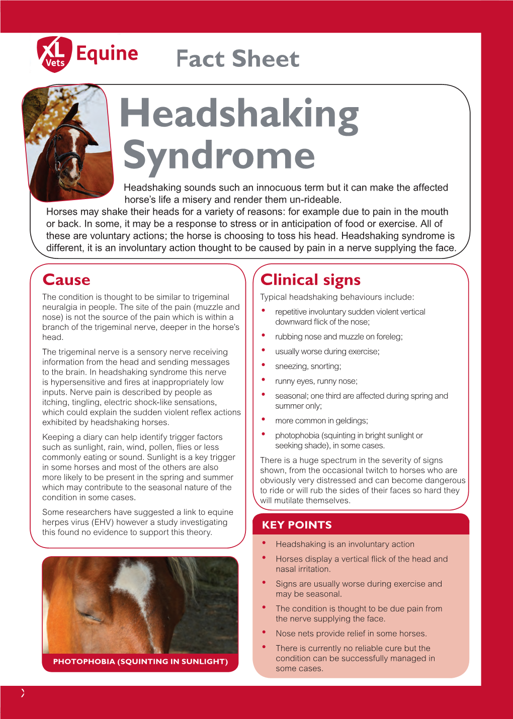 Headshaking Syndrome Is Oesophagus