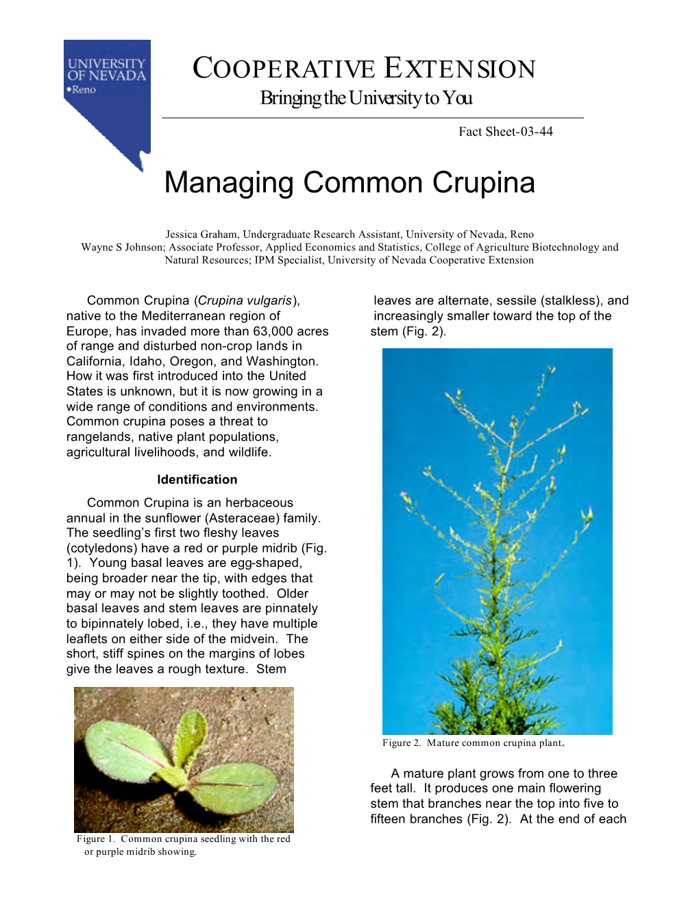 Managing Common Crupina