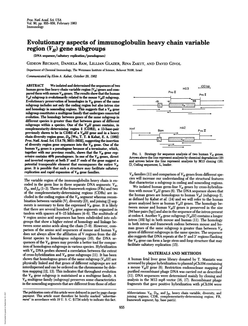 Evolutionary Aspects of Immunoglobulin Heavy Chain Variable