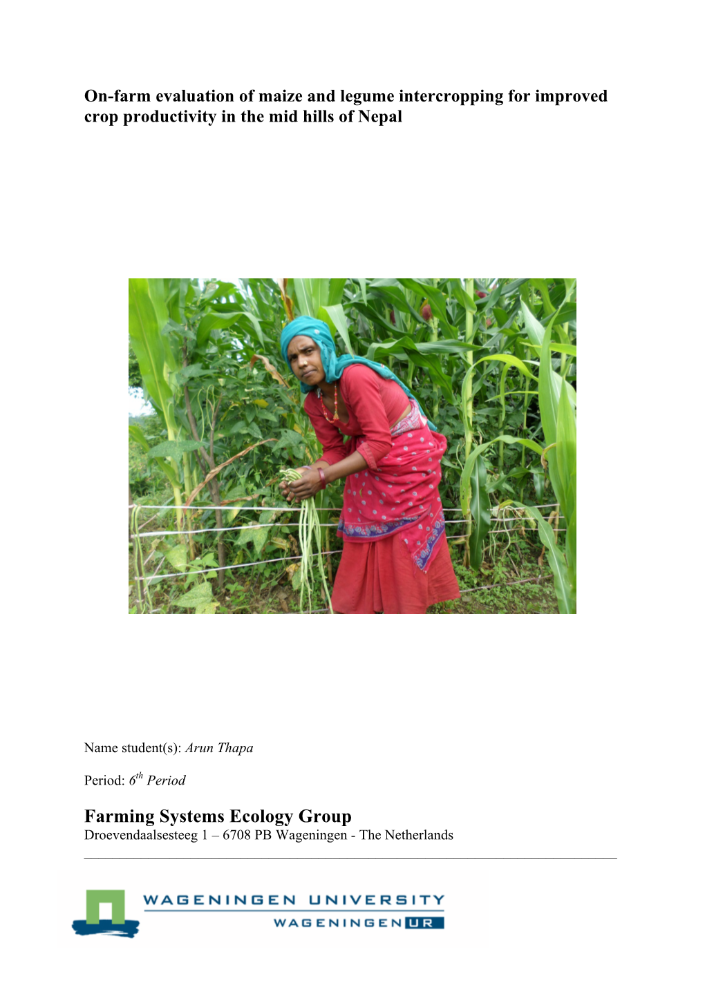 On-Farm Evaluation of Maize and Legume Intercropping for Improved Crop Productivity in the Mid Hills of Nepal