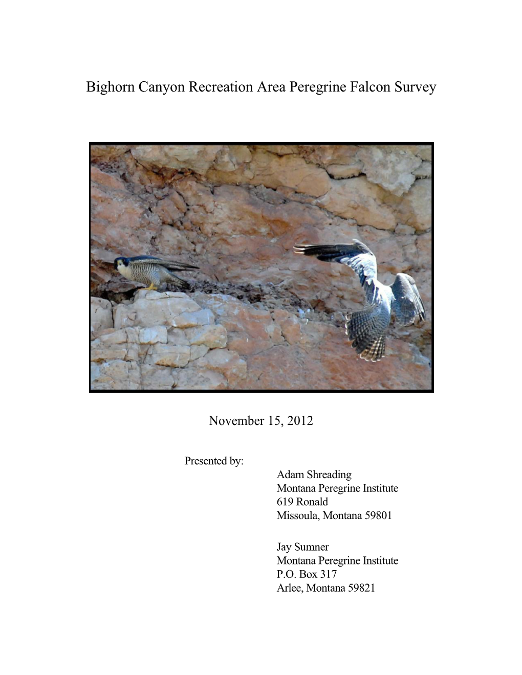 Bighorn Canyon Recreation Area Peregrine Falcon Survey