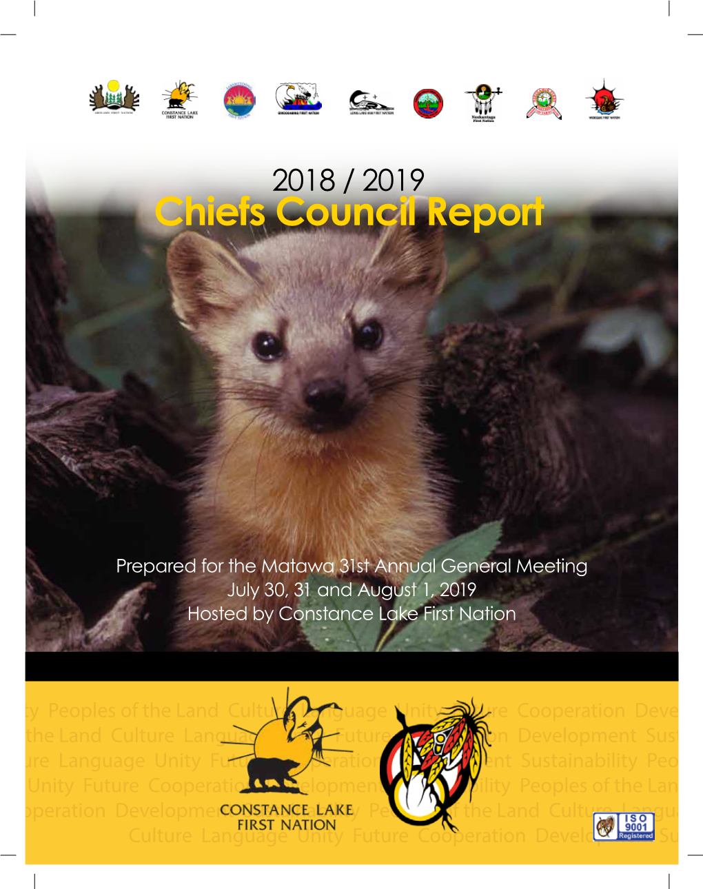 Chiefs Council Report